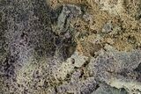 Purple and Green Botryoidal Grape Agate - Indonesia #324241-1